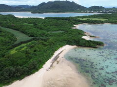 しゅーたろーさんのSouth Blueへの投稿写真1