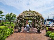 いざのりさんの一本木公園の投稿写真2