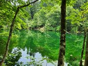 いざのりさんの龍ヶ窪の池の投稿写真1