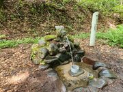いざのりさんの龍ヶ窪の池の投稿写真3