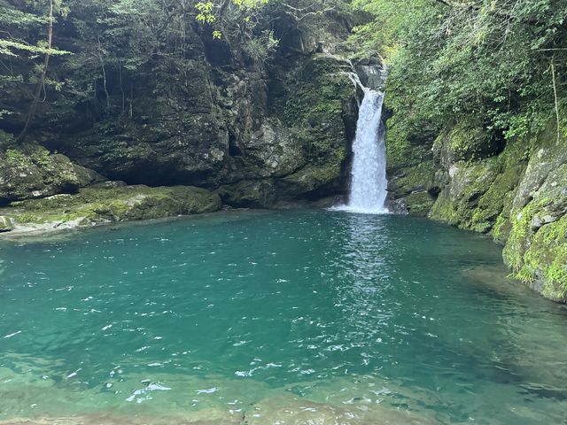 仁淀ブルー_にこ淵