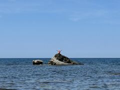Marine Shop YOUの写真1