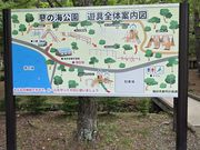 さくらさんの蓼の海の投稿写真1
