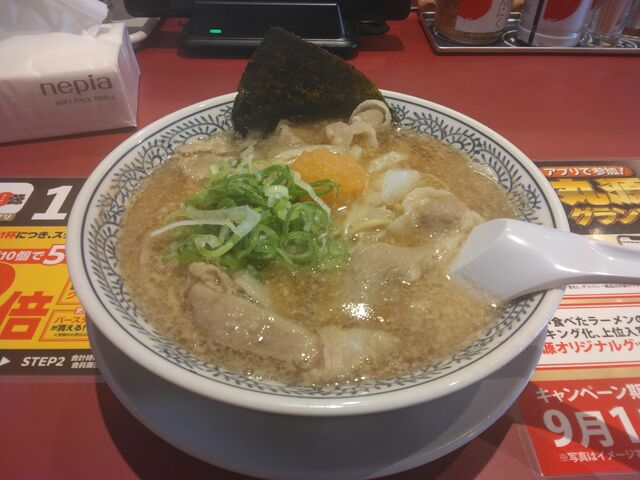 やっぱりおいしいものでした、肉そば。_丸源ラーメン 船橋宮本店