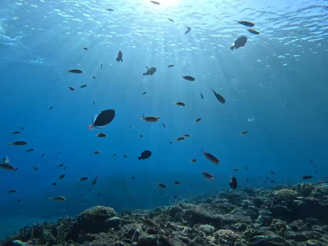 差し込む光の筋_ダイビングショップTI.OCEAN