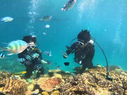 おもちさんのダイビングショップTI.OCEANの投稿写真4