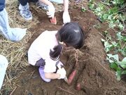 りりさんの野田みかん園の投稿写真1