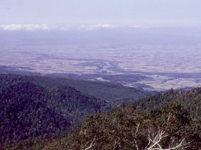 音江連山(沖里河山・無名山・音江山)