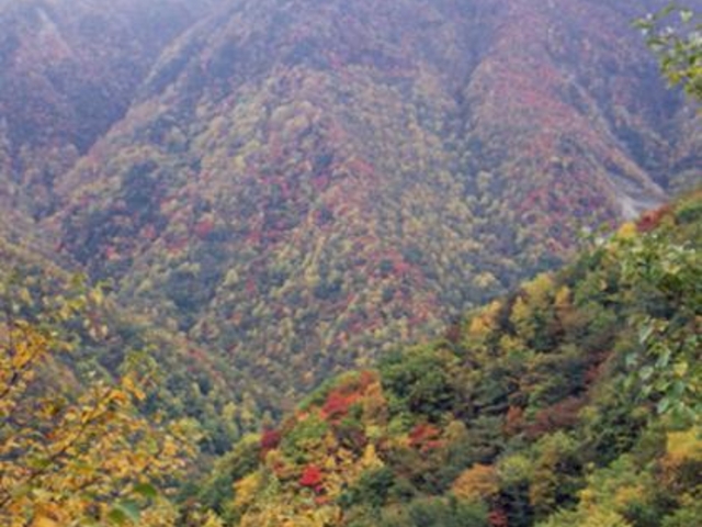 愛染山