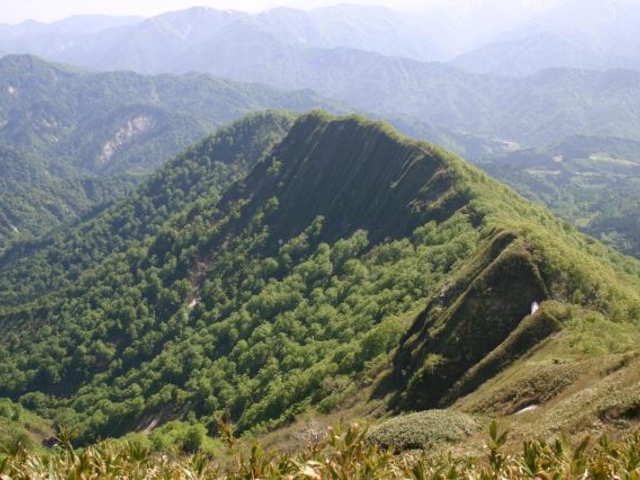 山伏岳びょうぶ尾根_山伏岳