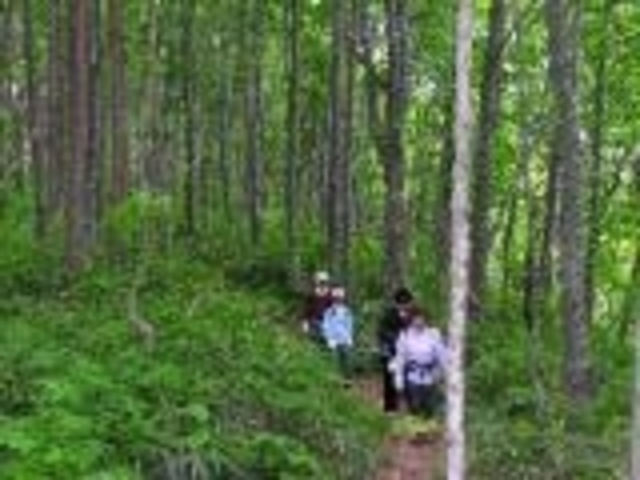 房住山の写真1