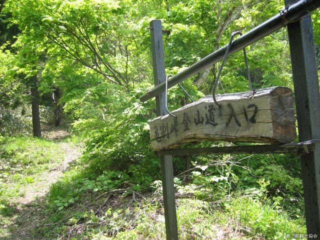 亀割山の写真1