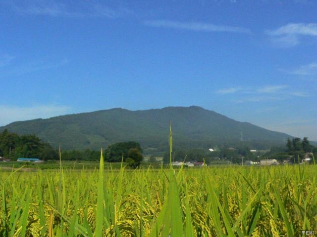 蓬田岳_蓬田岳