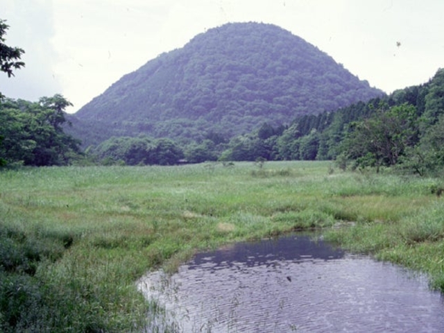 新湯富士山
