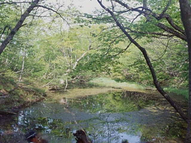 野見ケ岳の写真1