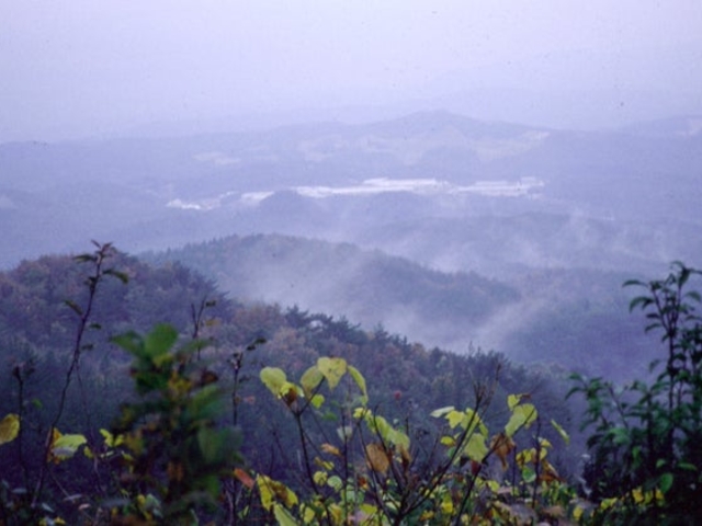 三国山の写真1