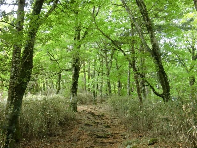 蕎麦粒山_蕎麦粒山