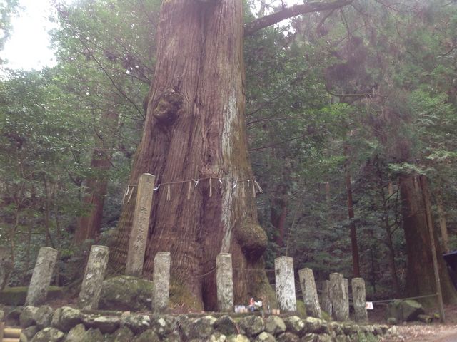 矢頭山