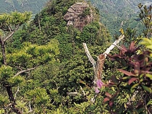 嶽の森山の写真1