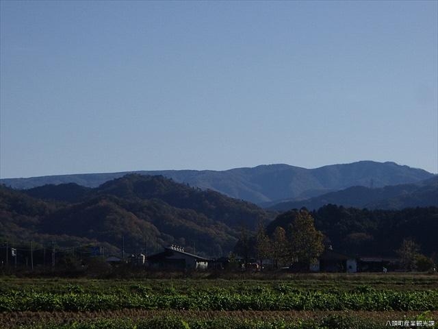 扇ノ山の写真1