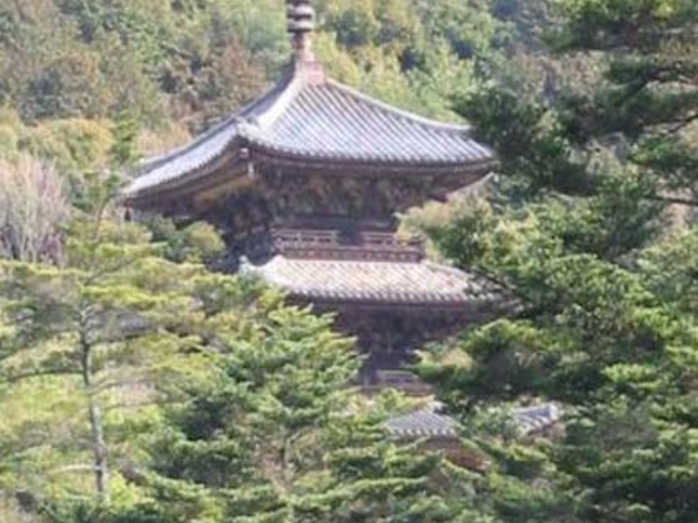 大滝山三重塔_大滝山