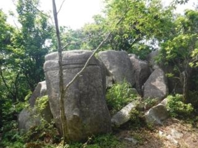 大土山の写真1