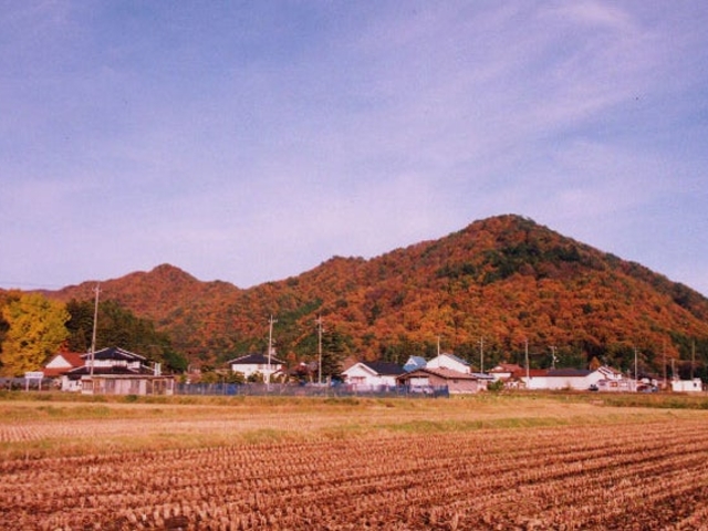 蔀山の写真1