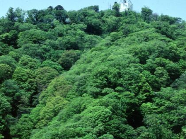 高縄山