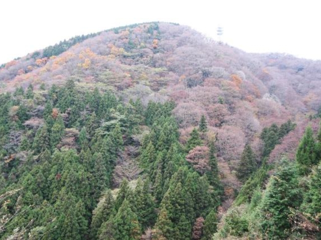 高縄山_高縄山