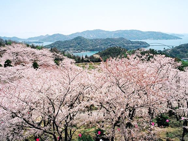開山の写真1