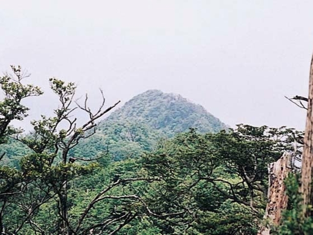 御前岳の写真1