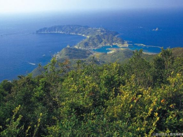 野間岳