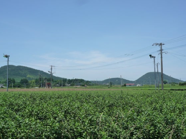 矢筈岳