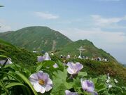 大千軒岳の写真4