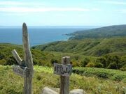 球島山の写真1