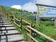 球島山の写真2