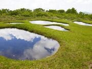 田代岳県立自然公園の写真2
