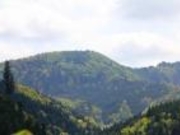 房住山の写真3