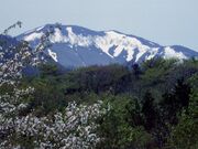 大白森山の写真1