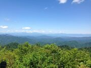 志津倉山の写真2
