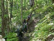 志津倉山の写真3
