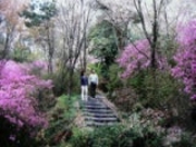鴻ノ巣山の写真1
