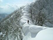 大万木山の写真4
