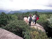蛤岳の写真1