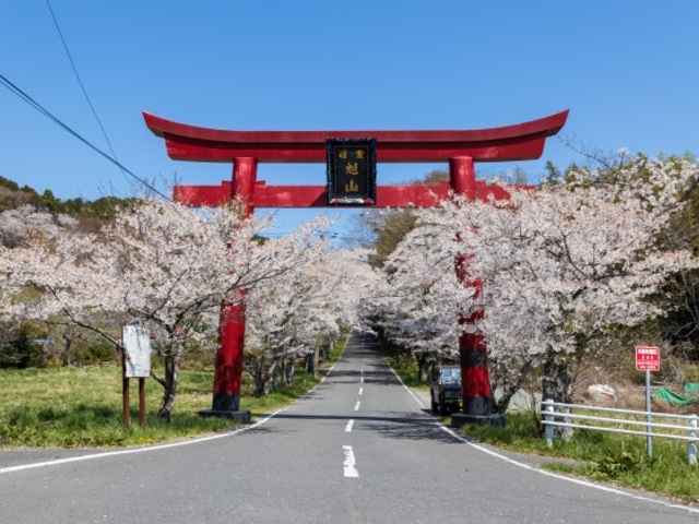朝日山計仙麻神社