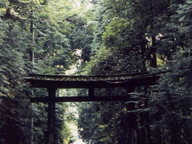 楯縫神社の写真1