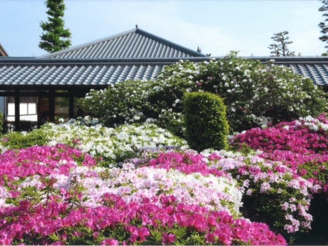 法雲寺【法雲禅寺】