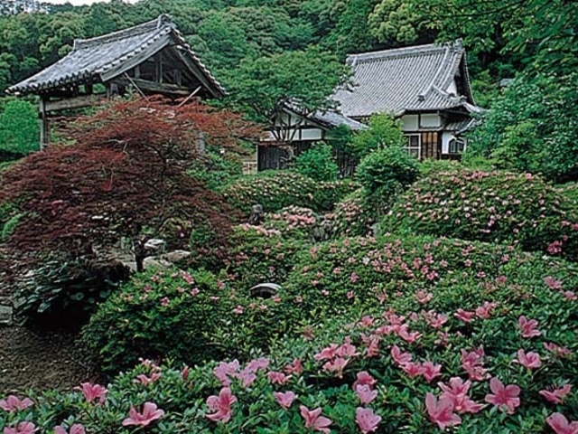 観音寺(さつき寺)