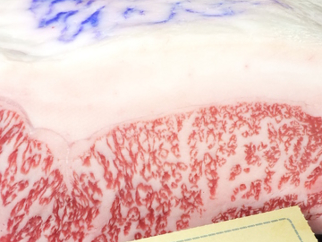 すてーきはうす 香西の写真1