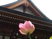 法蔵寺の写真1